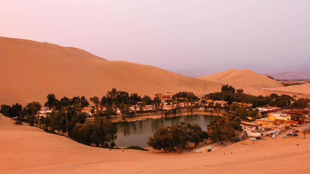 Opinión de El Oasis 1 Descubre El Oasis: Opinión sincera, análisis profundo y reseña completa