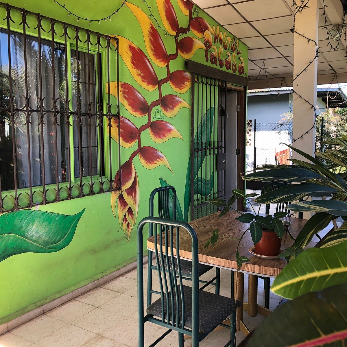 Opinión de PaCasa Hostel 1 Opinión del PaCasa Hostel: precios, reseñas y servicios en primera persona