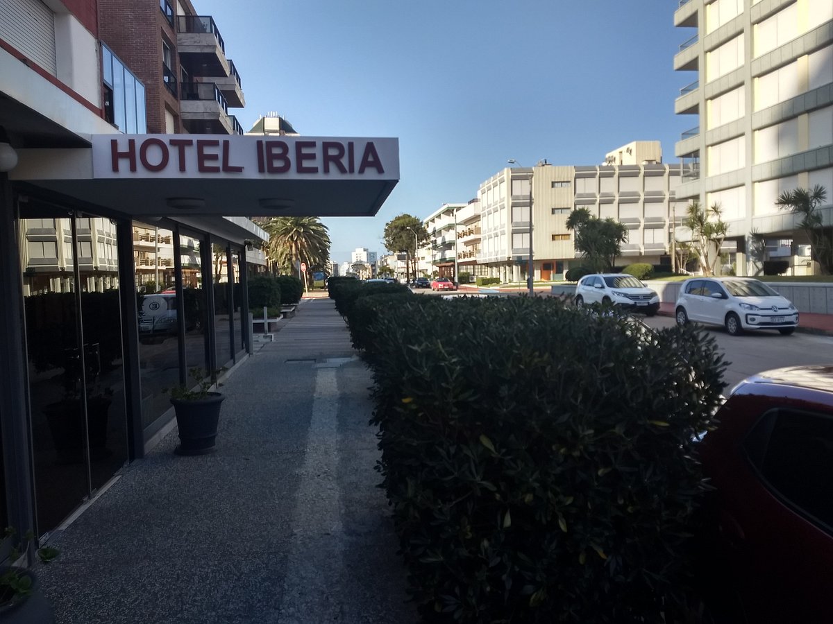 Opinión Hotel Iberia: reseña real, servicios y precio 2025