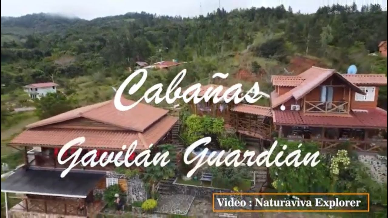 Cabañas Gavilán Guardián: Opiniones reales y reseña 2024