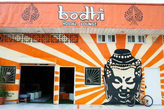 Opinión de Bodhi El Valle 1 Opinión de Bodhi El Valle: Análisis Completo y Reseña 2024