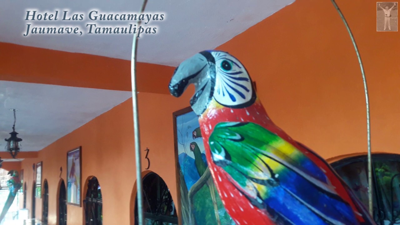 Opinión REAL del Hotel Las Guacamayas 24 Horas: reseña, fotos y precio