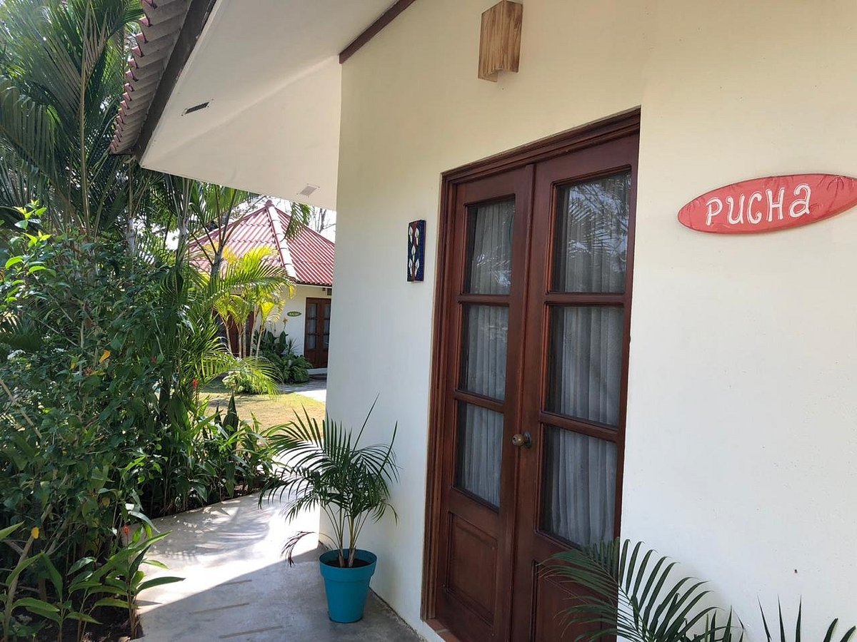 Opinión La Casa De Pucha: Reseña y Análisis Completo del Restaurante