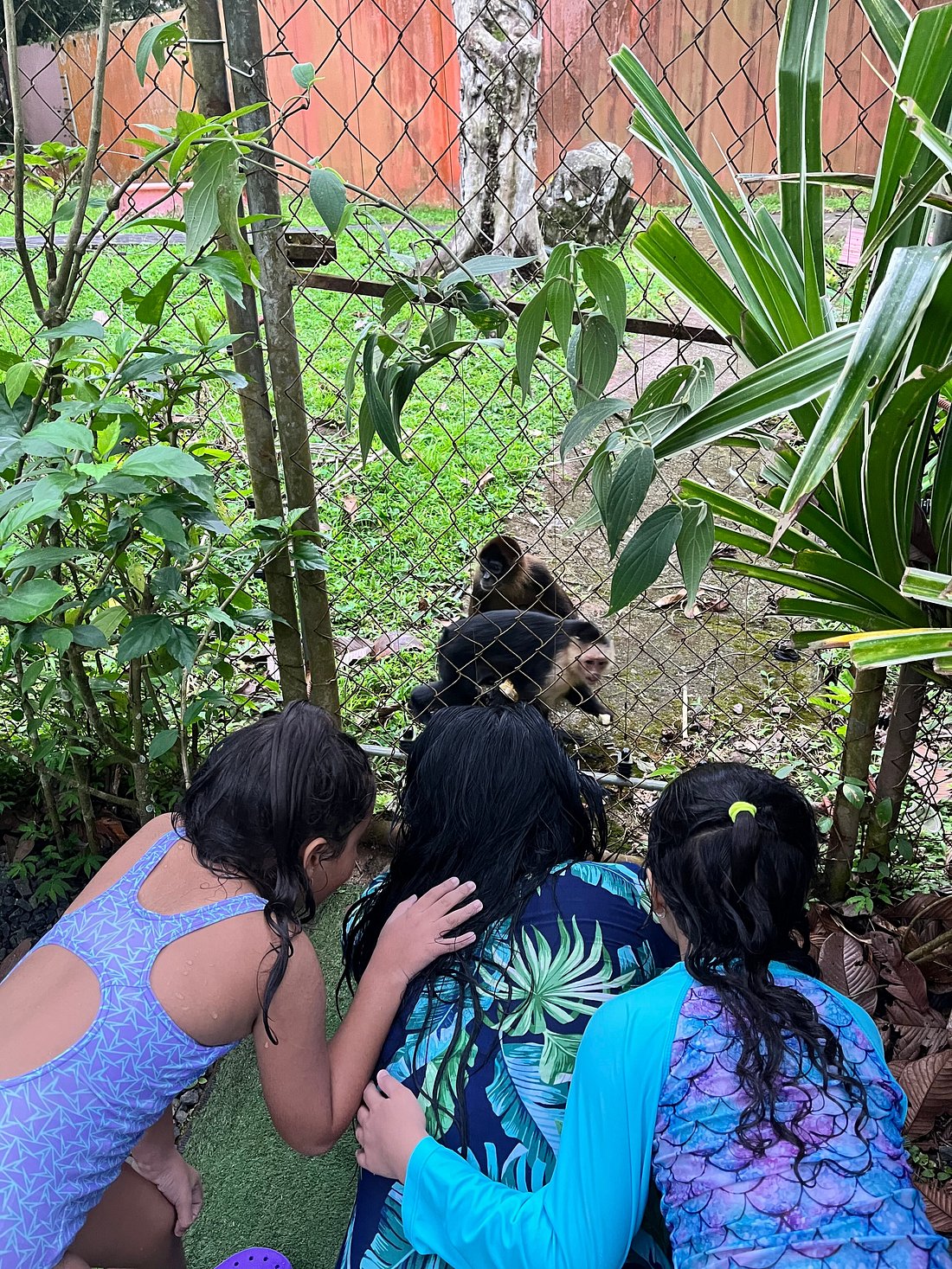 Opinión de Monkey Lodge Panama | Experiencia única en alojamiento selvático