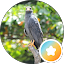 BioacostaCR
