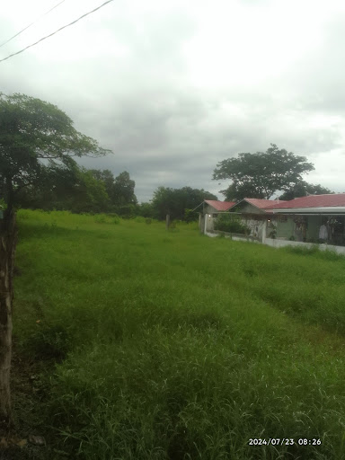 El espavé, Guararé