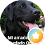 Jose Ramon
