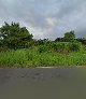Los Patitos | Arraijan