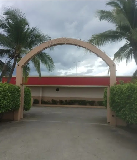 Las Palmeras